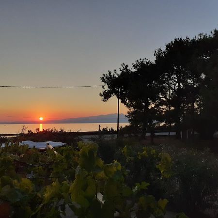 Το Σπίτι Με Το Πηγάδι - Wellcottage Thassos Skála Kallirákhis Esterno foto