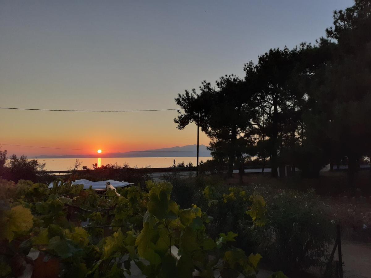 Το Σπίτι Με Το Πηγάδι - Wellcottage Thassos Skála Kallirákhis Esterno foto
